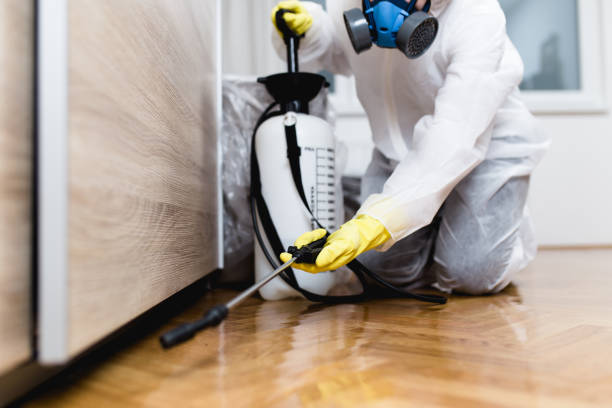 Best Affordable Pest Control Services  in Summit Hill, PA