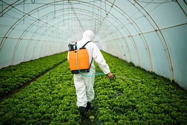 Best Pest Prevention Services  in Summit Hill, PA