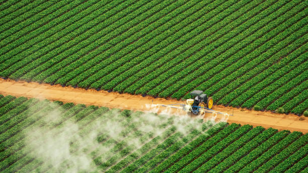 Best Mosquito Control Services  in Summit Hill, PA