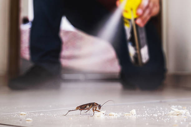 Pest Control for Restaurants in Summit Hill, PA